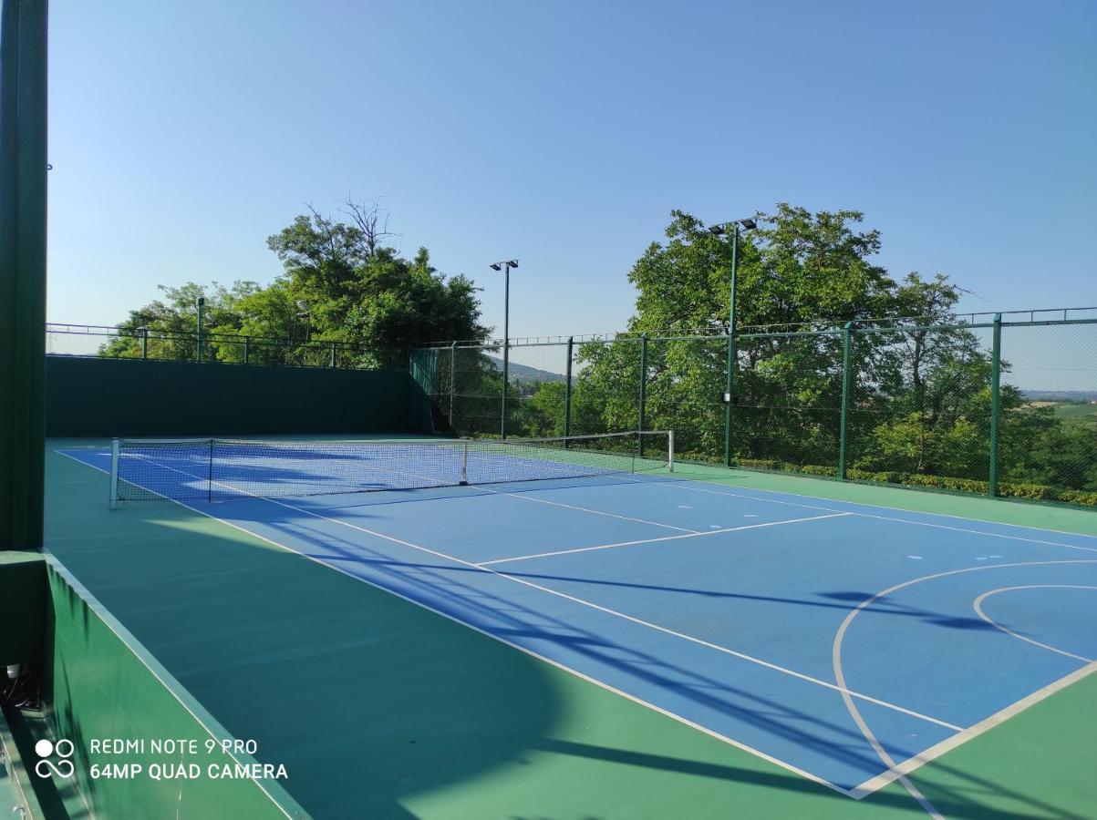 Rooms Green Set Belgrad Dış mekan fotoğraf