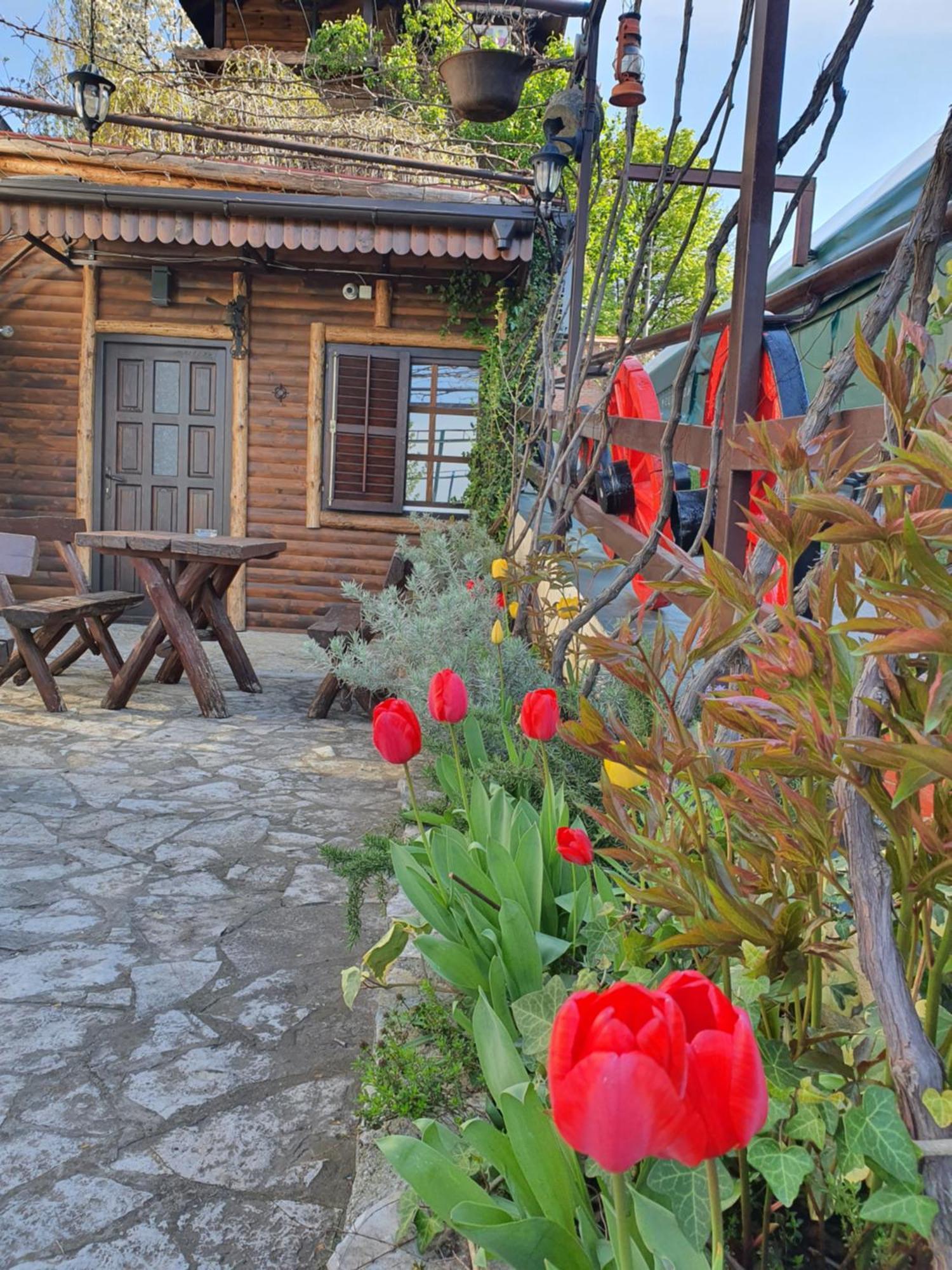 Rooms Green Set Belgrad Dış mekan fotoğraf