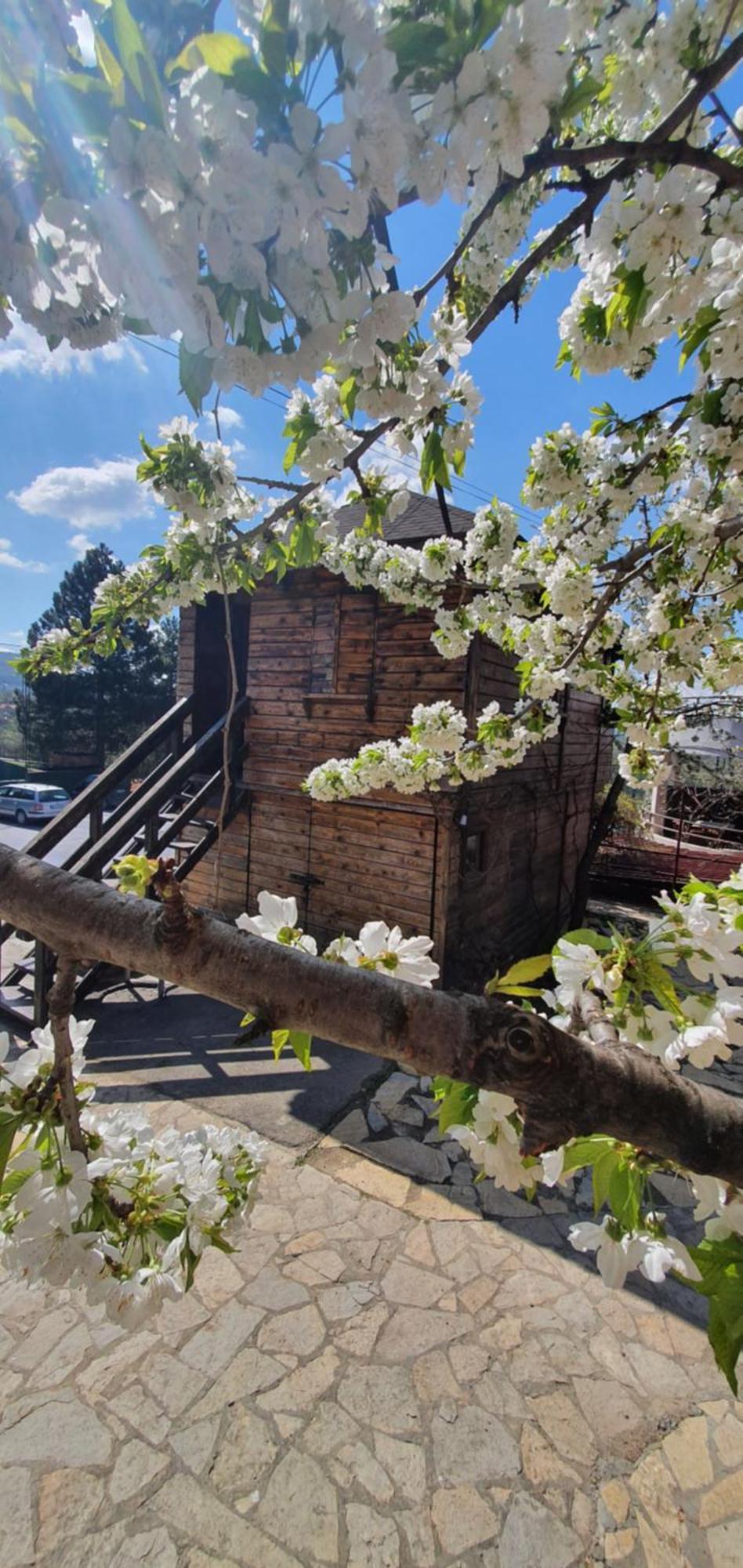 Rooms Green Set Belgrad Dış mekan fotoğraf