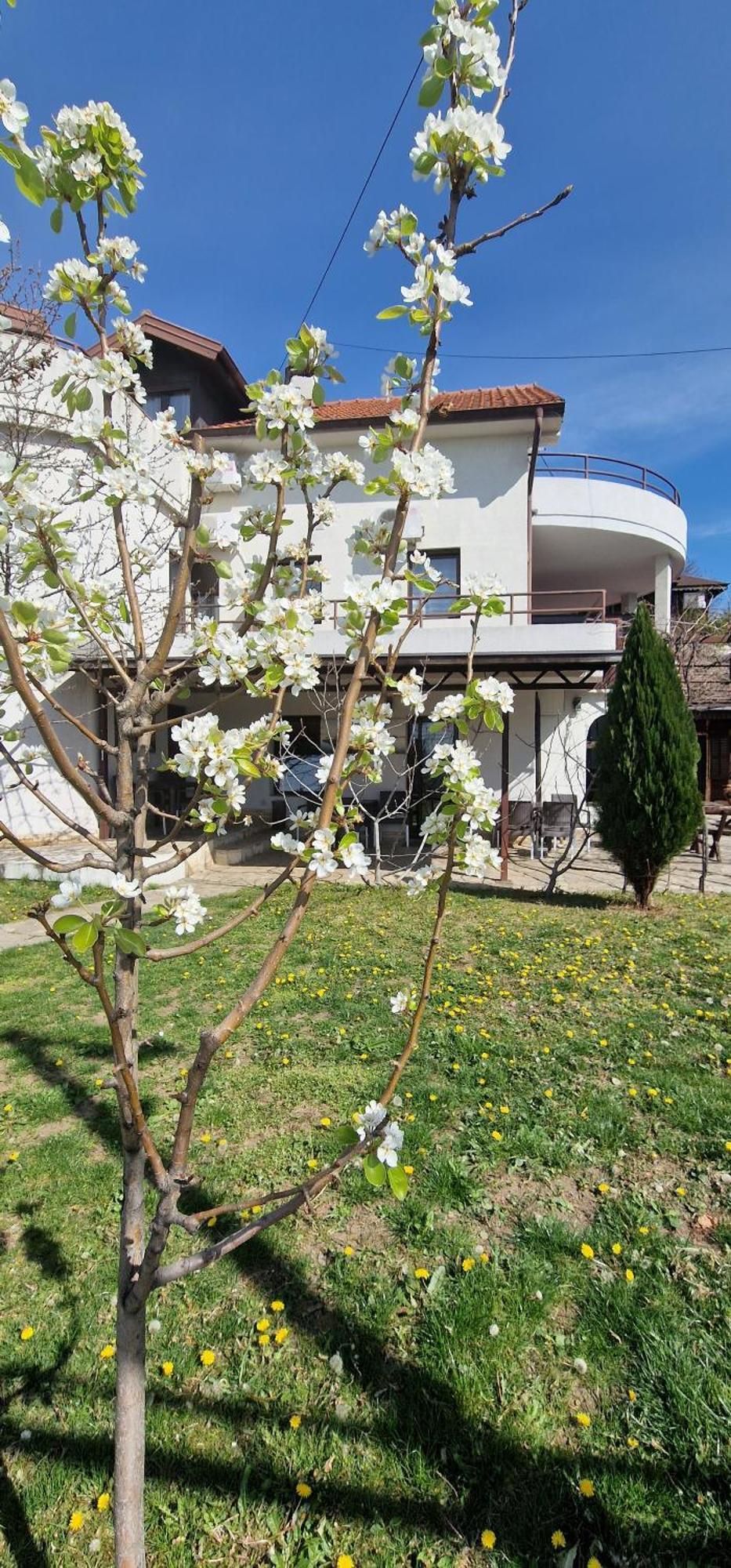 Rooms Green Set Belgrad Dış mekan fotoğraf