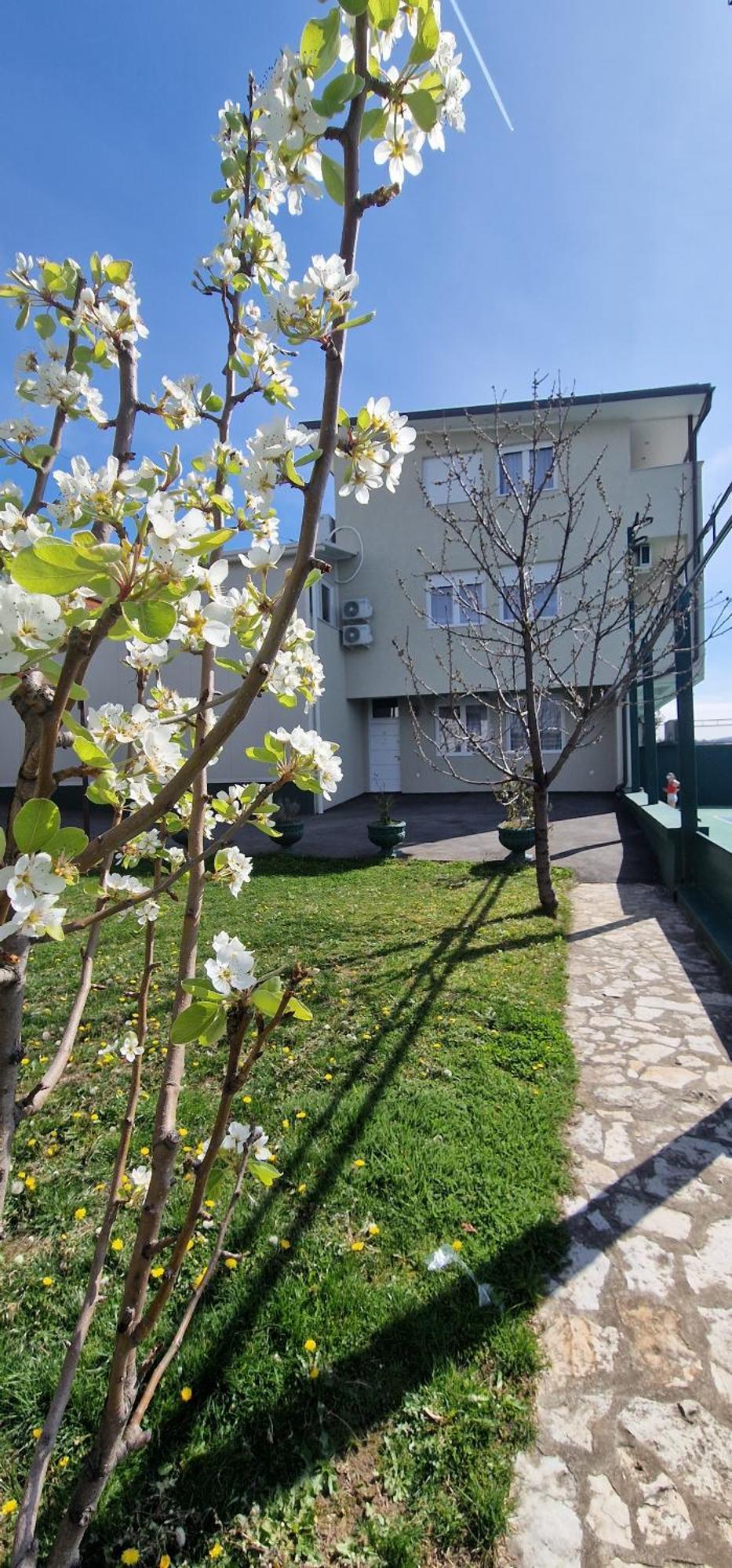 Rooms Green Set Belgrad Dış mekan fotoğraf